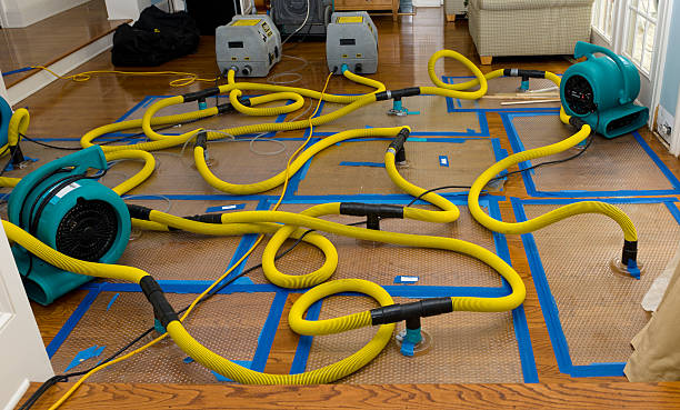 Professional Crawl Space Water Removal technician working in Spiritwood, ND